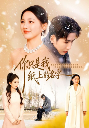 你只是我纸上的名字（68集）精彩短剧下载