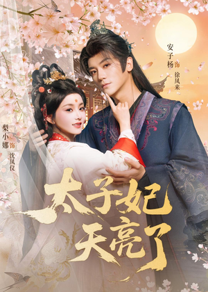 太子妃天亮了(80集) 太子妃天亮了(80集)直接追到结尾