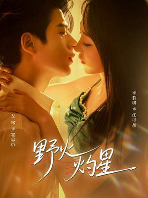 野火灼星（56集）在哪看免费