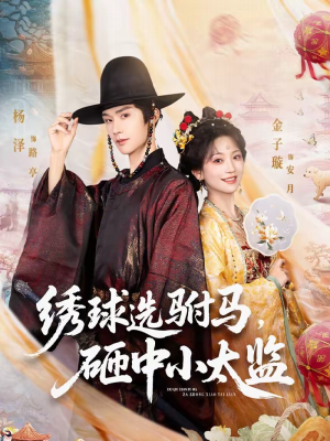 绣球选驸马，砸中小太监（81集）好看的短剧电影