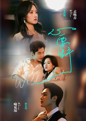 心要野（62集）短剧抢先看