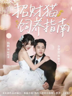 招财猫饲养指南（92集）精彩短剧追不停