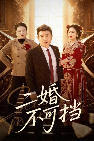 二婚不可挡（36集）一口气追完全集