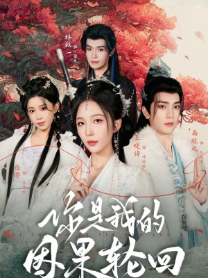 你是我的因果轮回（100集）短剧介绍