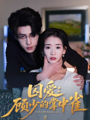 囚爱：顾少的掌中雀（70集）网盘在线观看