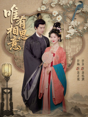 唯有相思意（100集）免费短剧资源