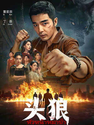 头狼（77集）一起追生活短剧