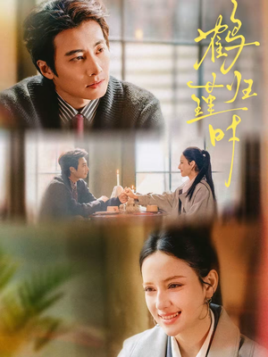 鹤归瑾时（81集）百度网盘资源