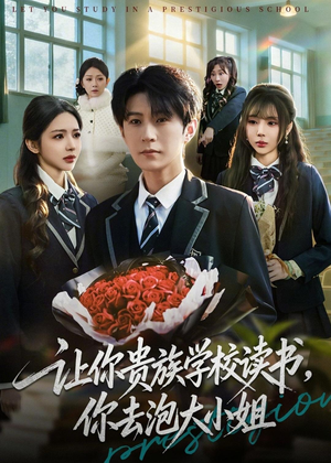 让你贵族学校读书，你去泡大小姐（71集）解说文案