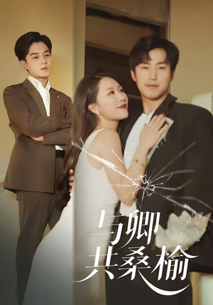 与卿共桑榆（63集）最火短剧热播中