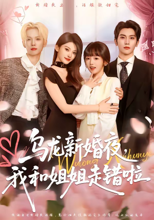 乌龙新婚夜，我和姐姐走错啦（59集）好看的短剧电影