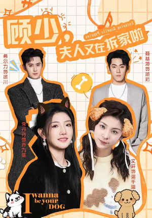 顾少，夫人又在拆家啦（78集）免费热门短剧