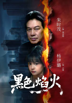 黑色焰火（41集）热播古装短剧