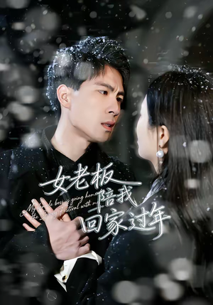 女老板陪我回家过年（40集）精彩短剧看不停