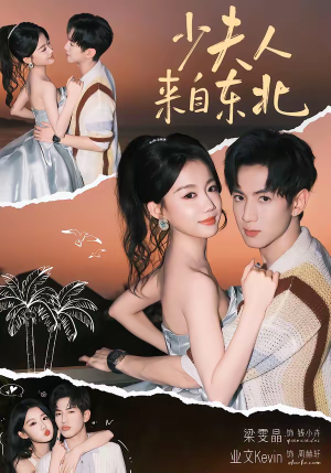 少夫人来自东北（80集）零花钱看整部剧