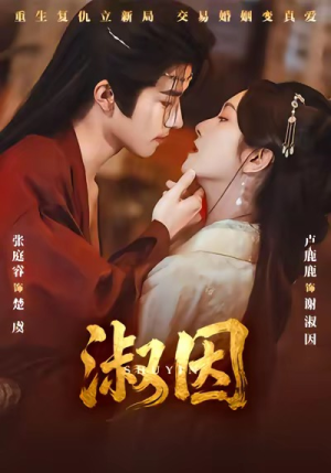 淑因(65集) 淑因(65集)在哪里可以看