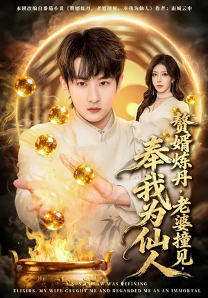 赘婿炼丹，老婆撞见，奉我为仙人（59集）海量短剧免费看