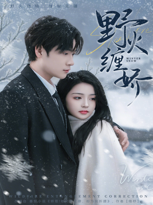 野火缠娇（66集）全集下载