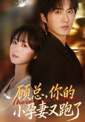 顾总,你的小孕妻又跑了(47集) 顾总,你的小孕妻又跑了(47集)太好看了短剧
