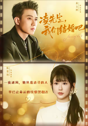 凌先生，我们结婚吧（68集）每日短剧推荐