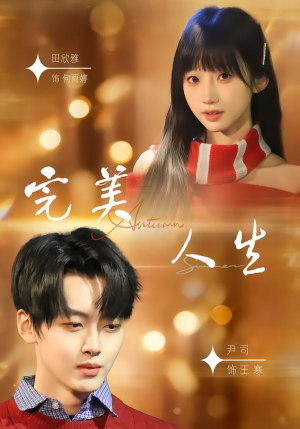 完美人生（85集）在线看完整版