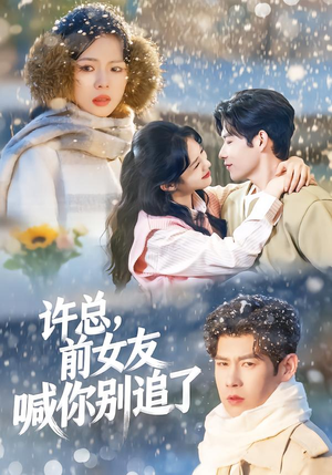 许总，前女友喊你别追了（80集）看到了大结局