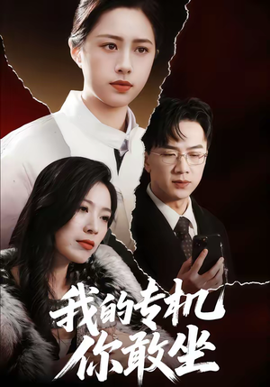 我的专机你敢坐（62集）火爆短剧抢先看