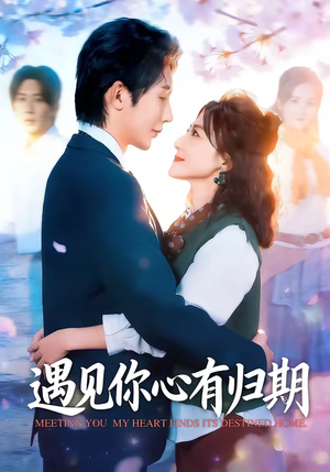 遇见你心有归期（81集）热播短剧推荐