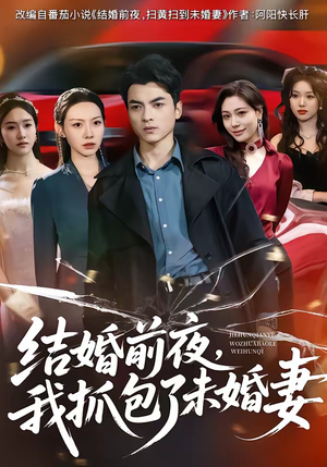 结婚前夜,我抓包了未婚妻(80集) 结婚前夜,我抓包了未婚妻(80集)精彩短剧下载