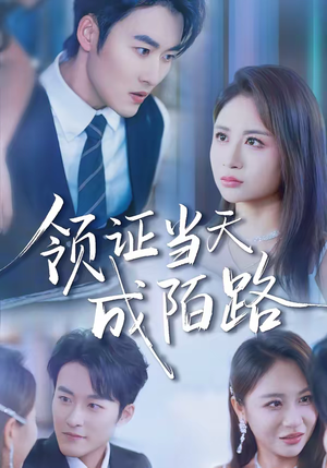 领证当天成陌路（39集）免费短剧合集