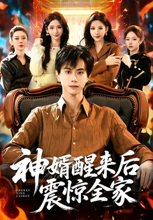 神婿醒来后震惊全家(80集) 神婿醒来后震惊全家(80集)红果免费看短剧