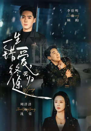 一生错爱，终无归途（74集）穿越短剧推荐