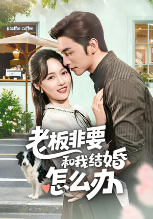老板非要和我结婚怎么办（50集）免费短剧看不停