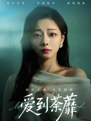 爱到荼蘼（63集）好看又上头短剧