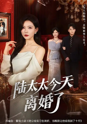 陆太太今天离婚了（59集）百度网盘资源