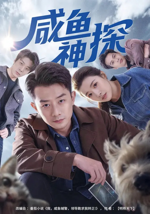咸鱼神探（80集）百度网盘资源
