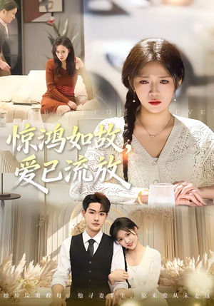 惊鸿如故，爱已流放（81集）好看的短剧