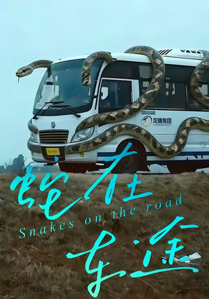 蛇在车途（34集）短剧热门推荐