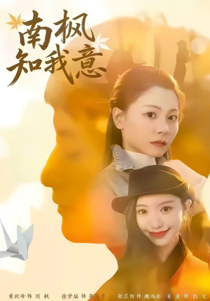 南枫知我意（41集）新短剧推荐