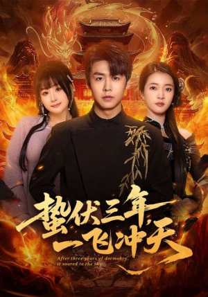 蛰伏三年，一飞冲天（60集）短剧在线更新