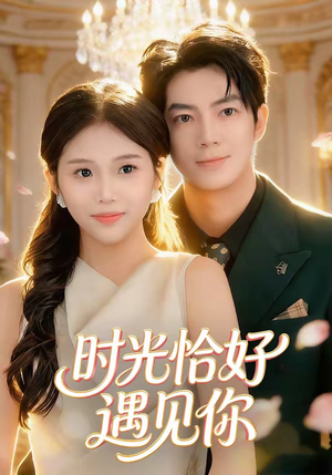 时光恰好遇见你（80集）最火爆的短剧