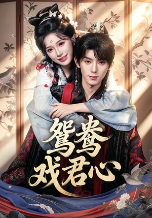 鸳鸯戏君心（60集）去哪里看