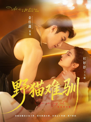 野猫难驯（73集）在线免费观看