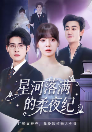 星河落满的柔夜纪（88集）360网盘观看