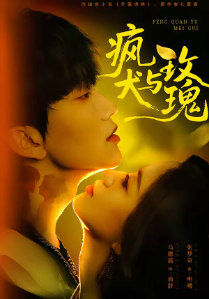 疯犬与玫瑰(80集) 疯犬与玫瑰(80集)热门短剧追不停