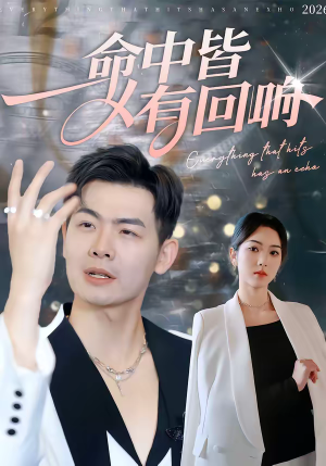 命中皆有回响（62集）夸克在线观看