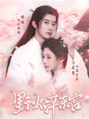 野火淬东宫（76集）亿万短剧抢先看