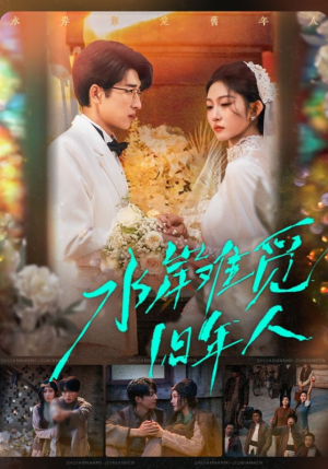 水岸难觅旧年人（68集）最新热播短剧