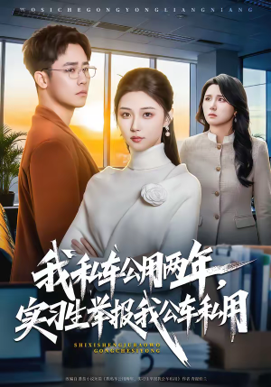 我私车公用两年，实习生举报我公车私用（63集）哪个网站可以看