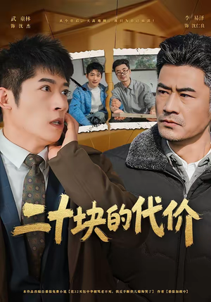 二十块的代价（64集）热播短剧分享